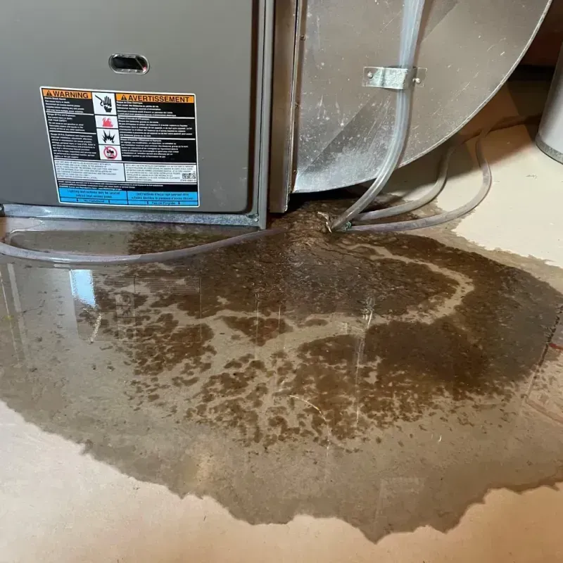 Appliance Leak Cleanup in Fountain Valley, CA